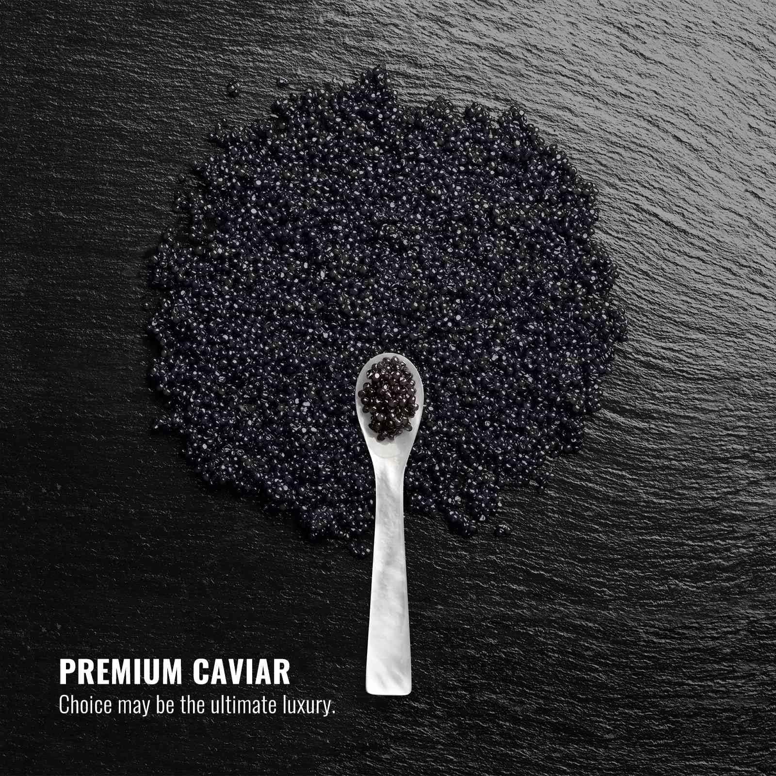 FRENCCIGA FRENCCIGA Caviar Anti-Aging Replenishing Moisture Shampoo - Hydrating Dry, Damaged Hair Restores Moisture, Adds Shine Protects from Color Fade & Future damage 16.9 oz