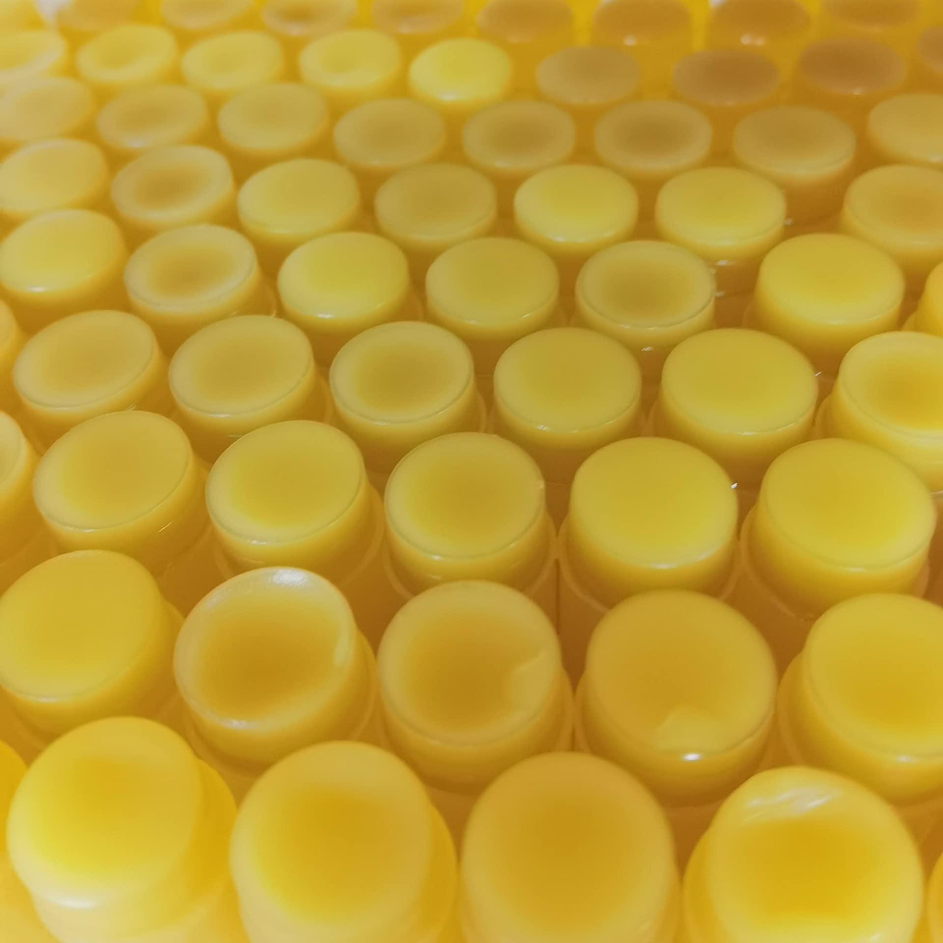 MeXmoB 2pcs Lip for Dark Lips Lip for Smokers Dark Lip Treatment Cream for Pink Lips Lip for Smoker Lips Lip balm for Men and Women (Yellow)