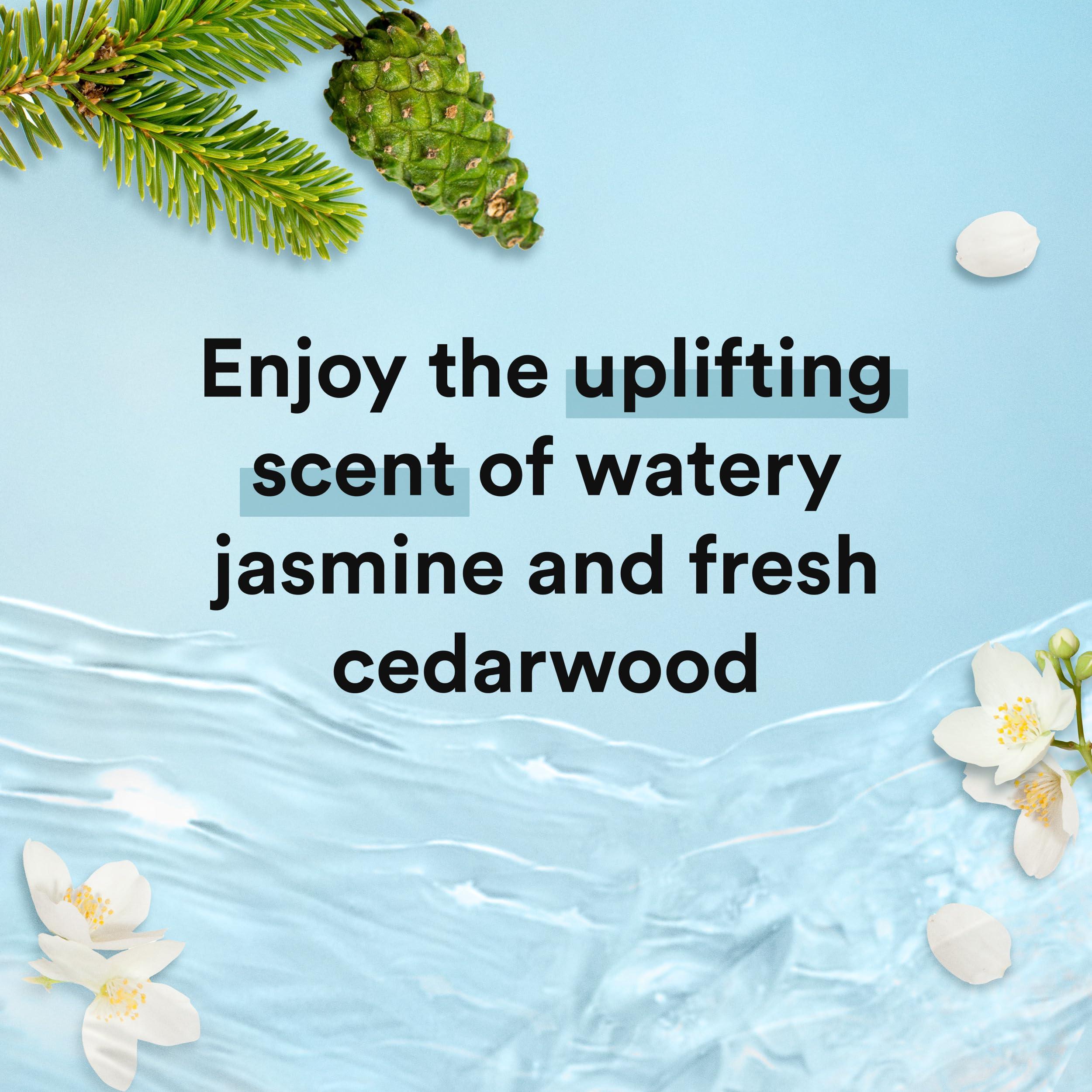 Suave Suave Body Wash 2-Pack, Shampoo & Conditioner, Ocean Breeze + Fresh Antiperspirant Deodorant for Women (5 Piece Set)