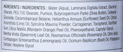 FOOTLOGIX footlogix Footlogix Exfoliating Seaweed Scrub, 32 fl. oz.