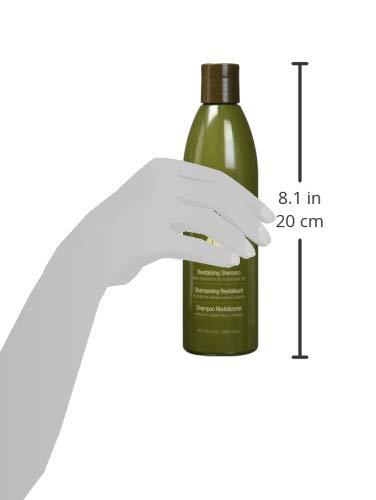 Hair Chemist Hair Chemist Macadamia Revitalizing Shampoo 10 Ounce