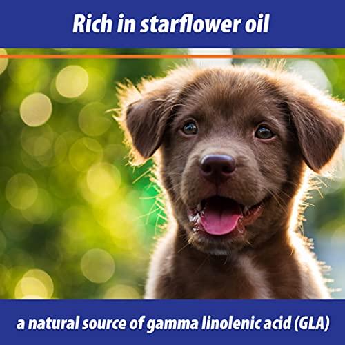 Exmarid Monster Pet Supplies Bob Martin Exmarid Dry Skin Formula With Starflower Oil