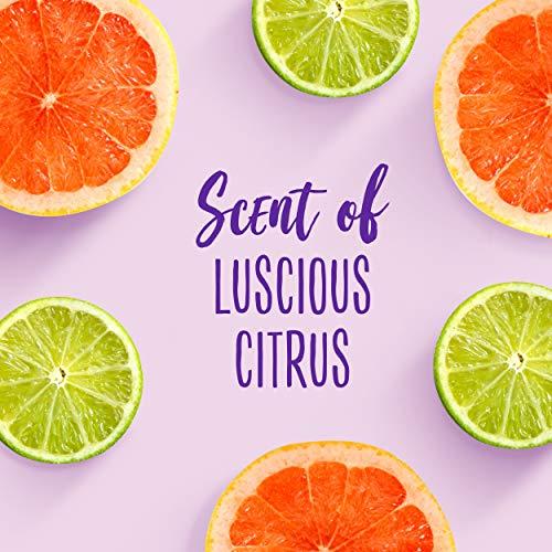 Aussie Aussie For Dry Hair Paraben-Free Miracle Moist Conditioner With Avocado & Jojoba, 30.4 Fluid Ounce, 4 Count