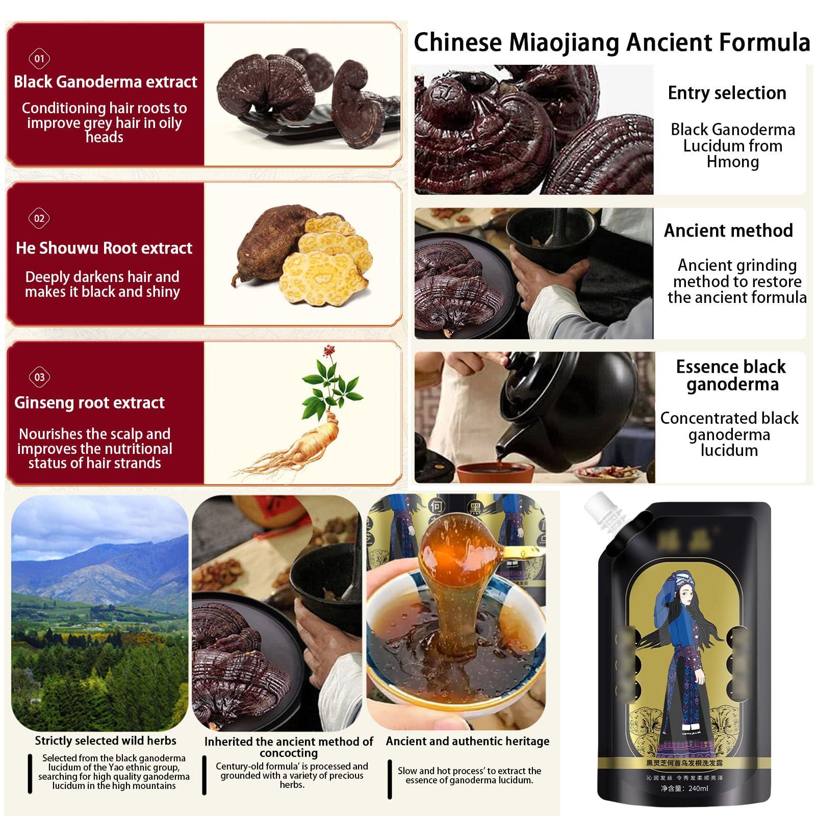 Nichalous 2PCS Ginger Plant Extract Anti-Hair Loss Hair Shampoo, Polygonum Black Ganoderma Extract Shampoo [2024 New Upgrade] (A (240mL+240mL/2Boxes))