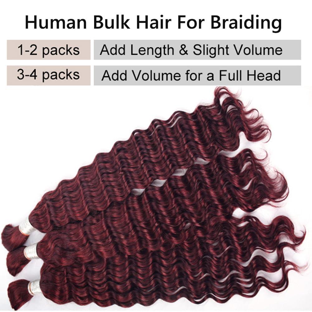 Kiss darling LASHES Hair Bulk Brazilian Human Hair Bulk for Braids Deep Wave Curly Bulk Human Hair for Braiding No Weft Deep Wave Virgin Human Braiding Hair 22inch 99J# (Wine Red)