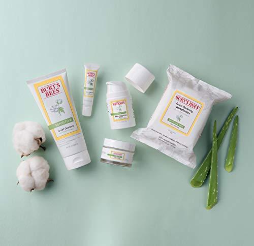 Burt's Bees Burt's Bees Face Cleanser for Sensitive Skin, 6 Oz (Package May Vary)