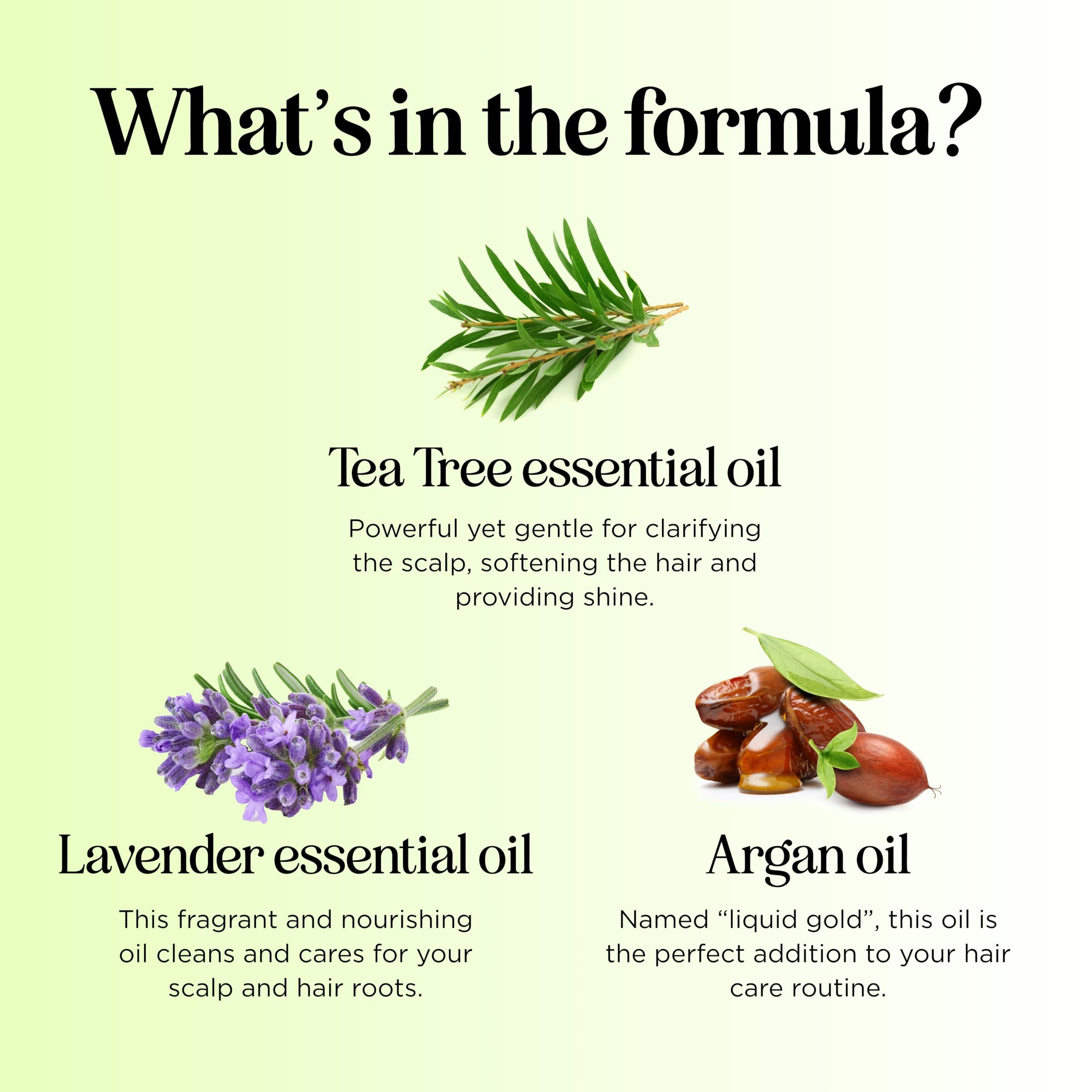 Maple Holistics Maple Holistics Tea Tree Oil Shampoo Sulfate Free - Deep Cleansing Vegan Tea Tree Shampoo for Oily Hair and Scalp - Daily for Build up with Rosemary Essential Oil for All Hair Types 25 Fl Oz