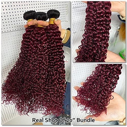 ALISFEEL Ombre Dark Red Curly Weave Human Hair 3 Bundles 99J Brazilian Curly Hair 100g/Bundles Burgundy Kinky Curly Human Hair Extensions for Black Women (18"20"22")