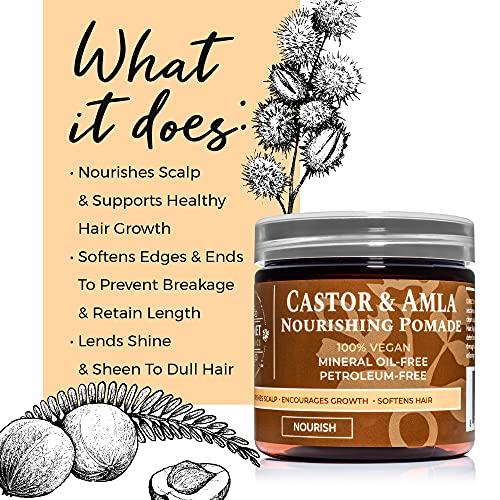 Qhemet Biologics Qhemet Biologics Castor & Amla Nourishing Pomade - Vegan Pomade and Scalp Conditioner with Castor Oil and Amla - Adds Softness, Pliability & Sheen to Locs, Cornrows, Twists & Loose Hair (4 oz)