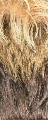 VANESSA AUSTIN (SPOTLITE) - Vanessa Synthetic Hair Fashion Wig