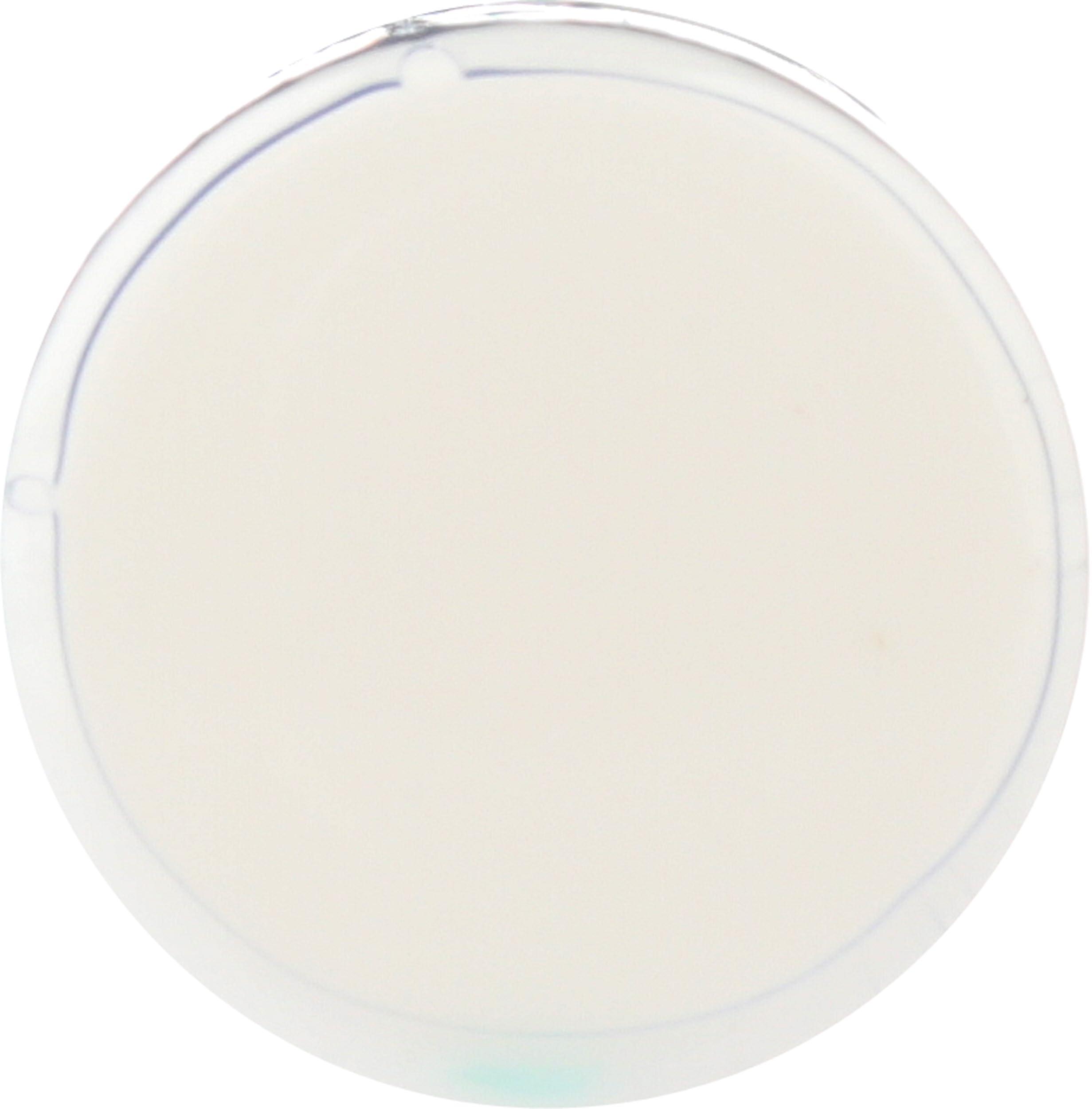 Elsen Oils ELSEN OILS Lip Balm Vanilla, 0.15 OZ