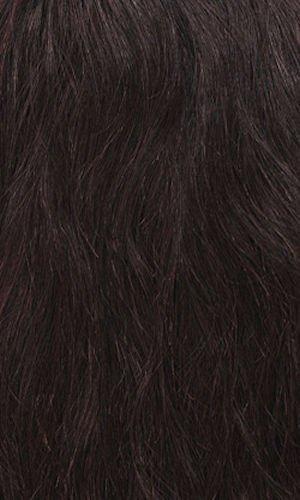 Motown Tress Motown Tress (Hnbl3.ina - Remy Human Hair Lace Front Wig in NATURAL
