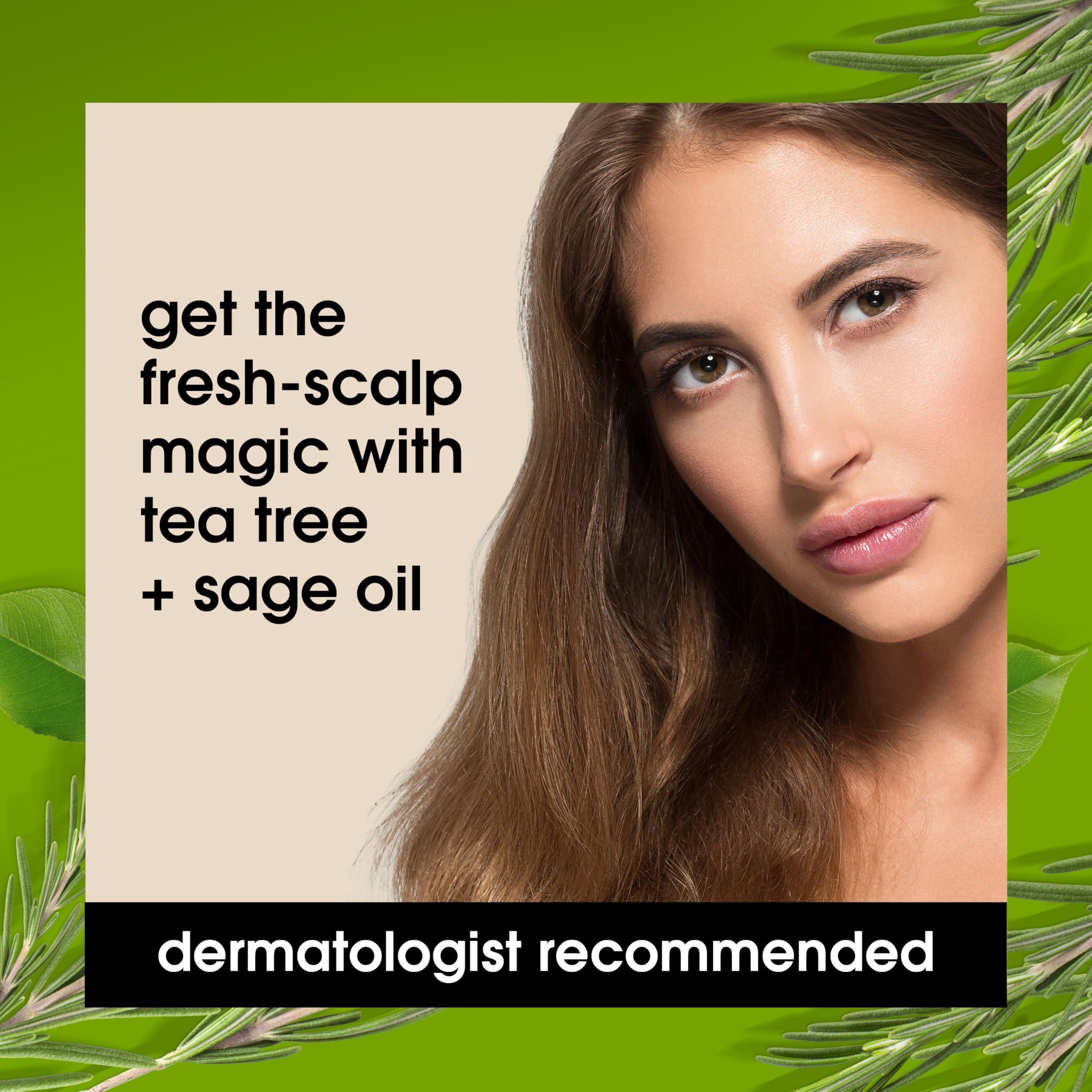 Yes To Yes To Tea Tree Scalp Relief Shampoo, pH Balancing Formula To Calm Dry Itchy Scalp While Moisturizing & Nourishing Hair, With Tea Tree & Sage Oil, Natural, Vegan & Cruelty Free, 12 Fl Oz 2PK