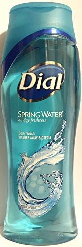 Dial Dial Body Wash, Spring Water, 16 Fl. Ounces (Pack of 2)