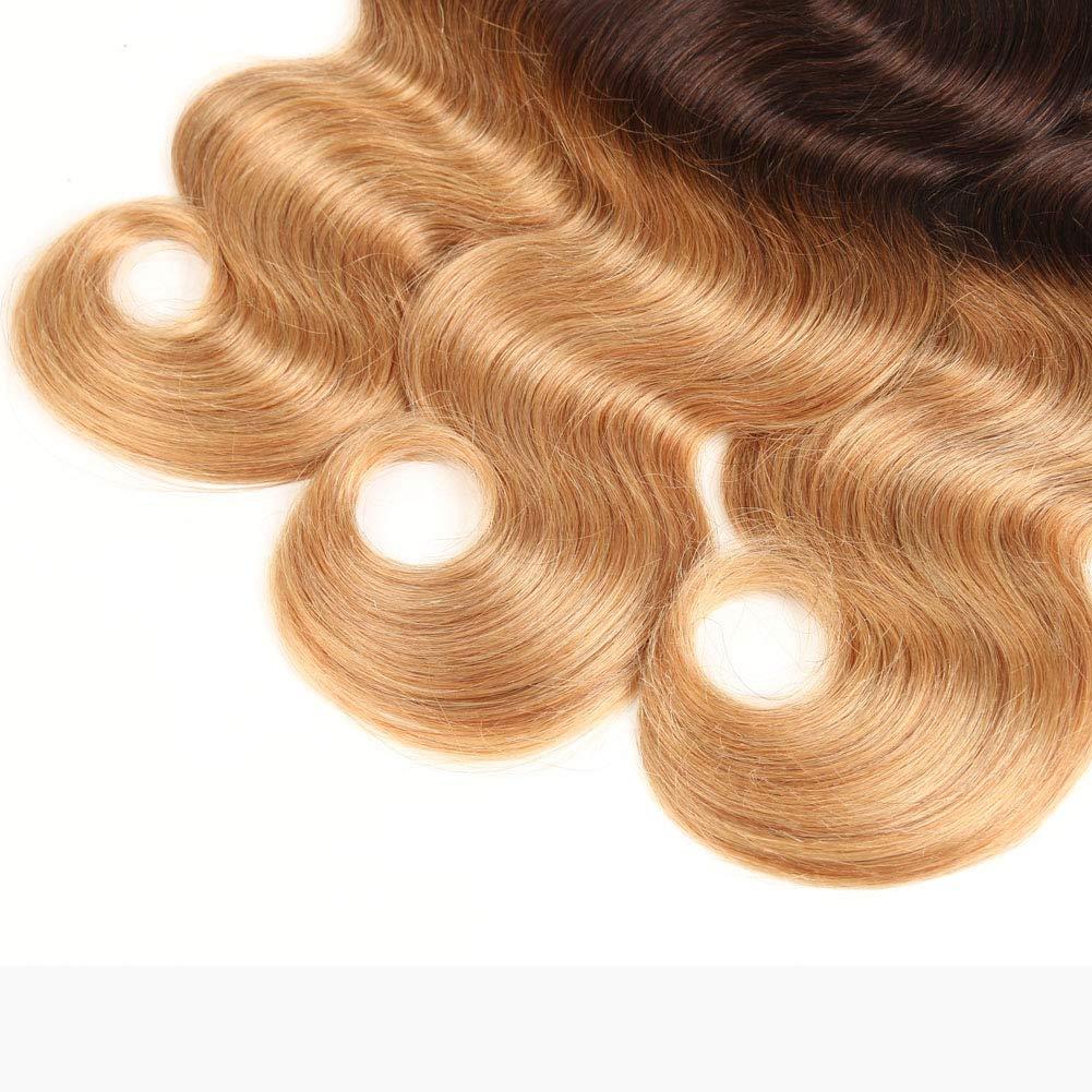 InsQueen Ombre Blond Bundles with Closure Brazilian Virgin Human Hair #1B/4/27 Body Wave Blond Human Hair Bundles with 4x4 Lace Closure Hair Extension (12 14 16+10 Inch)