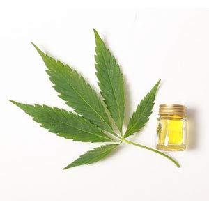 Skincare By Hoss Sun Sauce Sparkling Accelerator Tanning Lotion 12oz