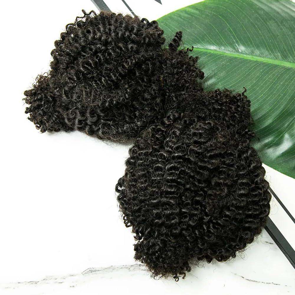 RHEANNA RHEANNA Human Afro Kinky Curly Hair For Twist Braids No Weft Double Drawn Twist Hair Extensions Braiding Afro Kinky Bulk Human Hair For Twist 100g/bundle 20\" 20\"