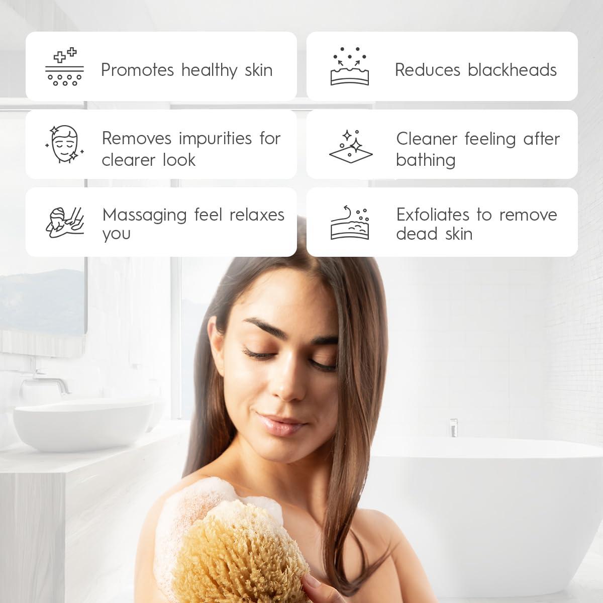 Naroa NAROA Natural Shower Sponge in Gift Box | Exfoliating Real Sea Loofah for Bath 4.5-6\" | Body Scrubber for Men Women