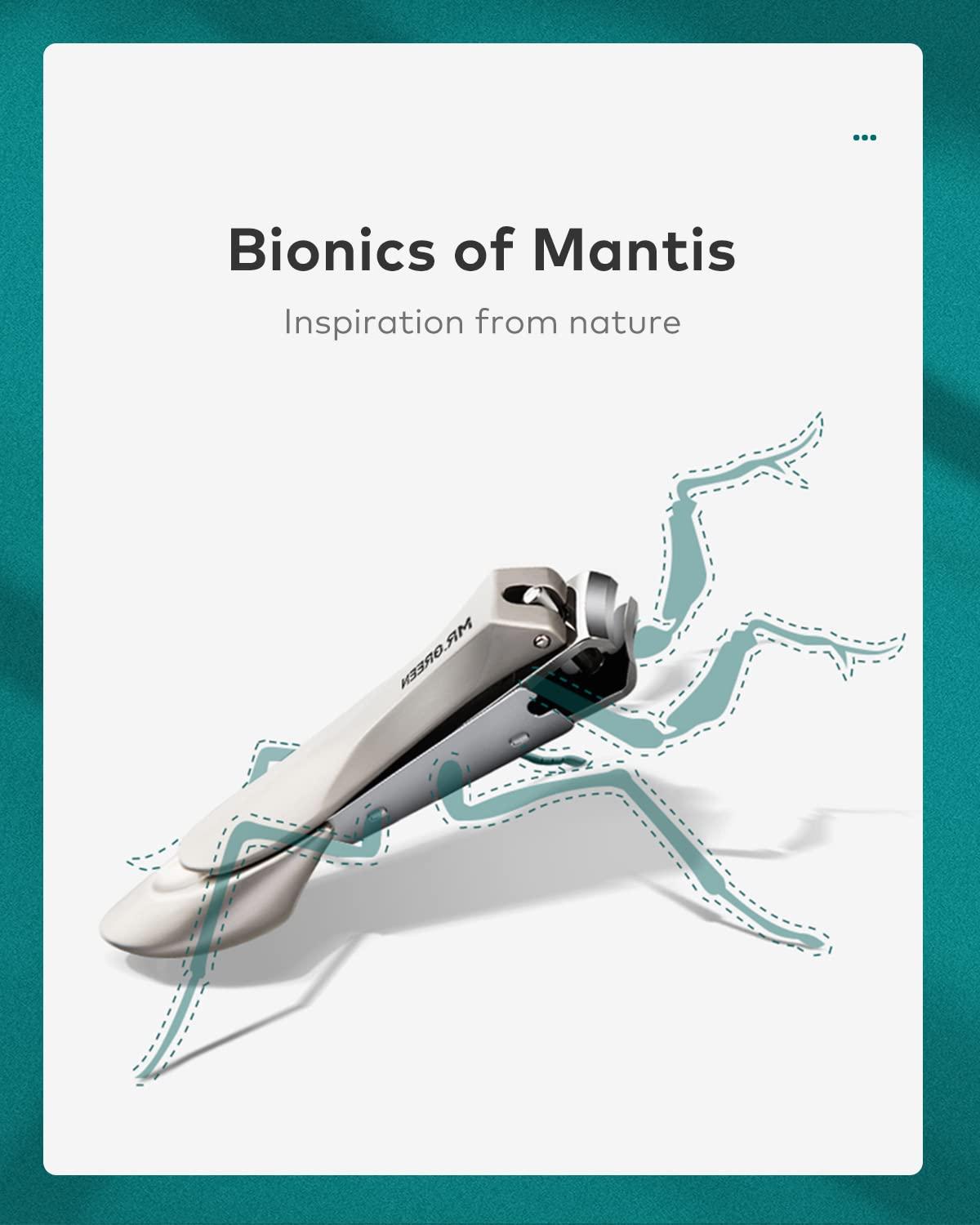 CLEMATIS CLEMATIS Pollen Eyeshadow, Red Plum