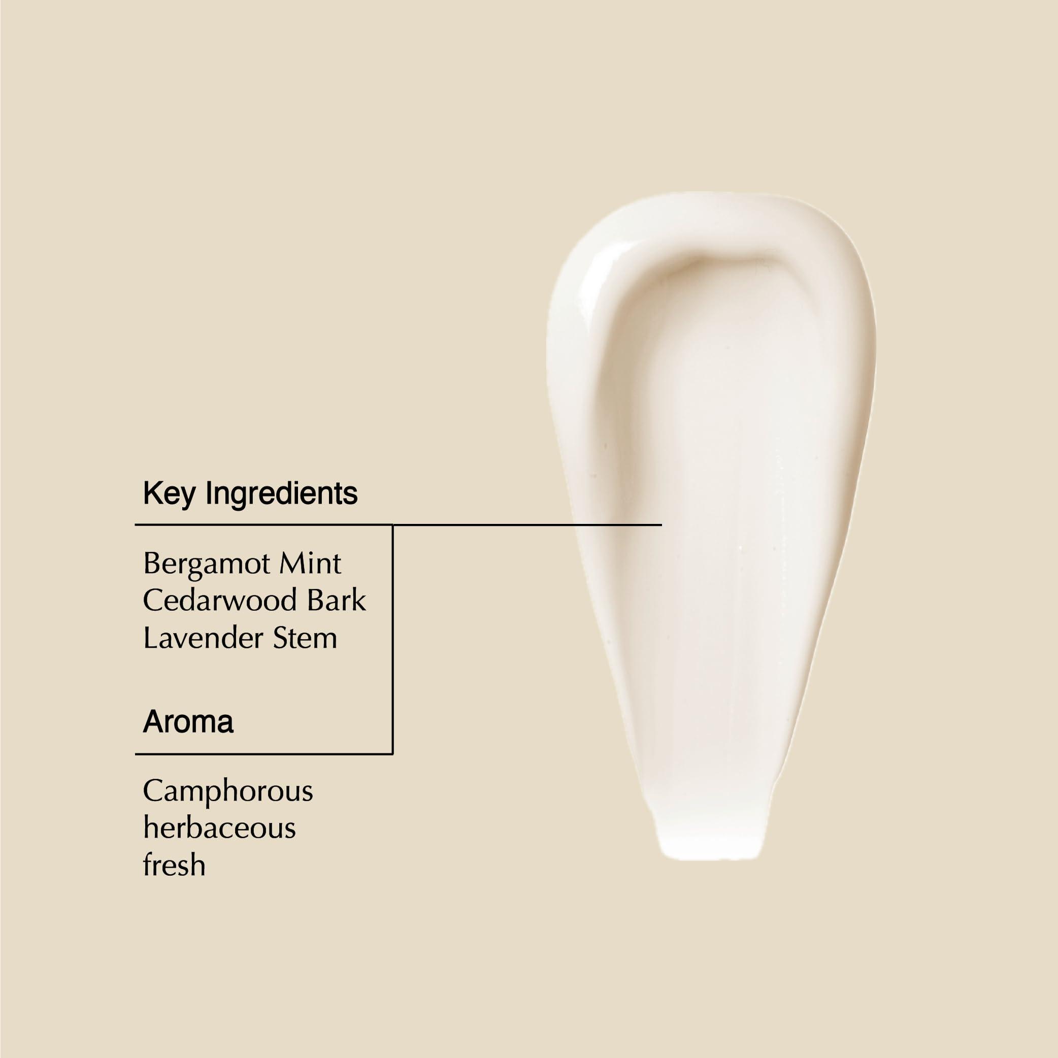 Aesop Aesop Classic Conditioner | Lightly Nourish, Soften, Shine, Hydrate, Disentangle Hair | Bergamot Mint, Cedarwood Bark, Lavender Stem | 16.9 oz / 500mL