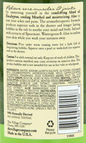 Village Naturals Therapy Village Naturals Therapy Foaming Bath Oil, Aches and Pains, 16 Ounce (Pack of 2)
