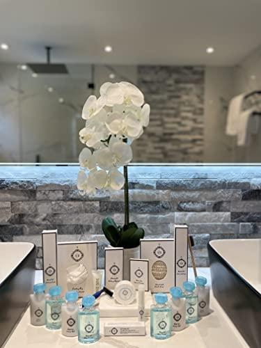 SB Essentials LLC Soap SB | Toiletries Bulk Set | Mini Amenities for Hotels, Air bnb, Yachts, Gym, Travel Size |50g Bar Soap Travel Size | 50 Pieces