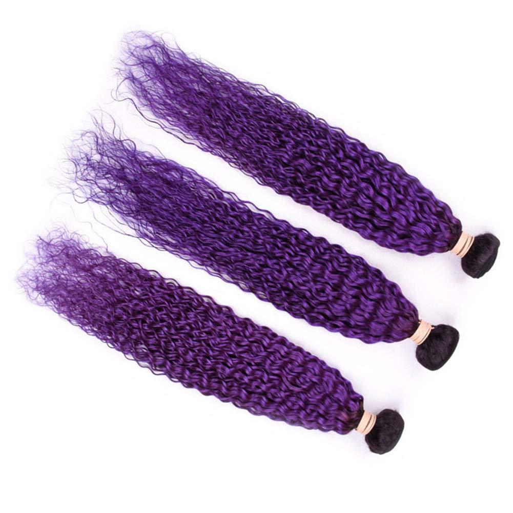 Tony beauty hair Tony Beauty Hair #1B/Purple Ombre Curly Human Hair Bundles Deals 3Pcs Lot Jerry Curly Ombre Purple Brazilian Human Hair Weave Extensions Dark Roots Double Wefts 10-30" Mixed Length (26 28 28)