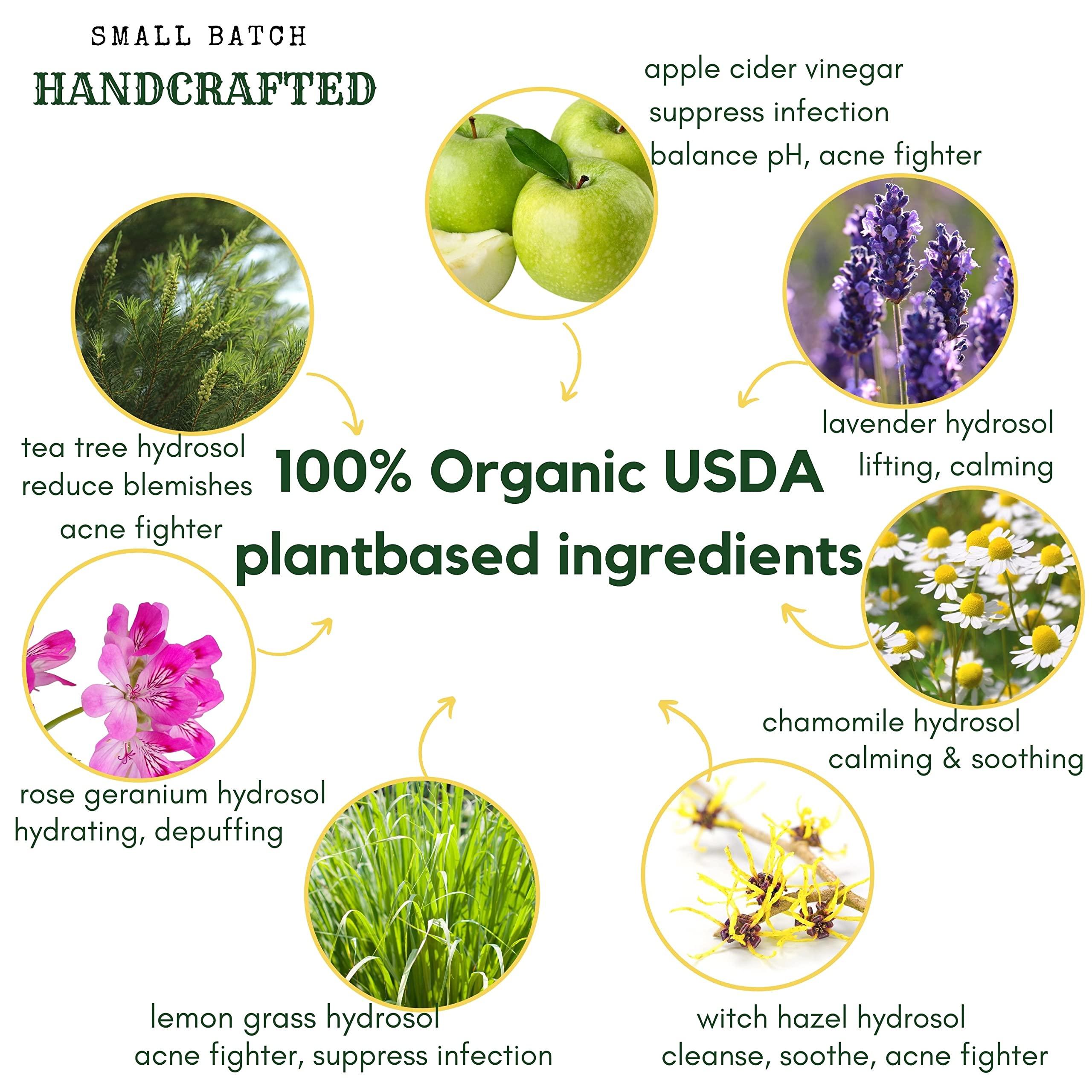 Hello Cider Apple Cider Vinegar Acne Face Wipes-Organic TeaTree, Rose, Chamomile, Witch Hazel.Oil free. Reduce Blemish & Acne. Tone,Restore, Sooth, Balance pH. Dry, Normal, Sensitive Skin. 25ct. USA Hello Cider