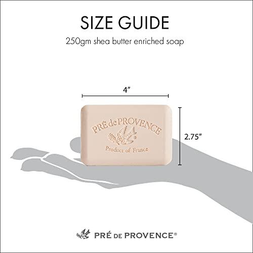 Pre de Provence Pre de Provence Artisanal Soap Bar, Enriched with Organic Shea Butter, Natural French Skincare, Quad Milled for Rich Smooth Lather, Agrumes, 8.8 Ounce