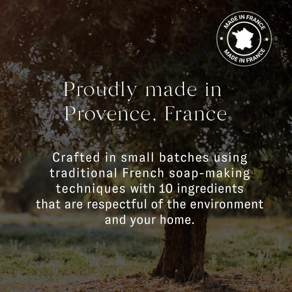 Maison France Luxe Maison France Luxe French Liquid Hand Soap, 400ml, Ginger Grapefruit - Soft Hand Wash that Hydrates and Cleanses - Biodegradable Liquid Soap, Plant-Based, Paraben-Free& Non Toxic Hand Soap