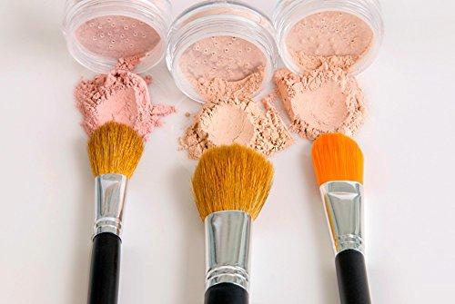 Sweet Face Minerals TRIO WITH BRUSHES (EBONY) Full Size Kit Mineral Makeup Brush Set Foundation Concealer Blush Bare Face Sheer Powder Cover