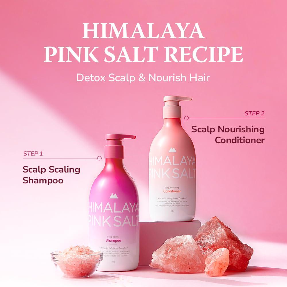 HIMALAYA PINKSALT HIMALAYA PINKSALT Shampoo and Conditioner Set - Clarifying and Nourishing Hair Care Set for Itchy Scalp and Dry Hair - Apple Cider Vinegar, Natural Oil, Silicone-Free, Sulfate Free (21.1 oz x2)