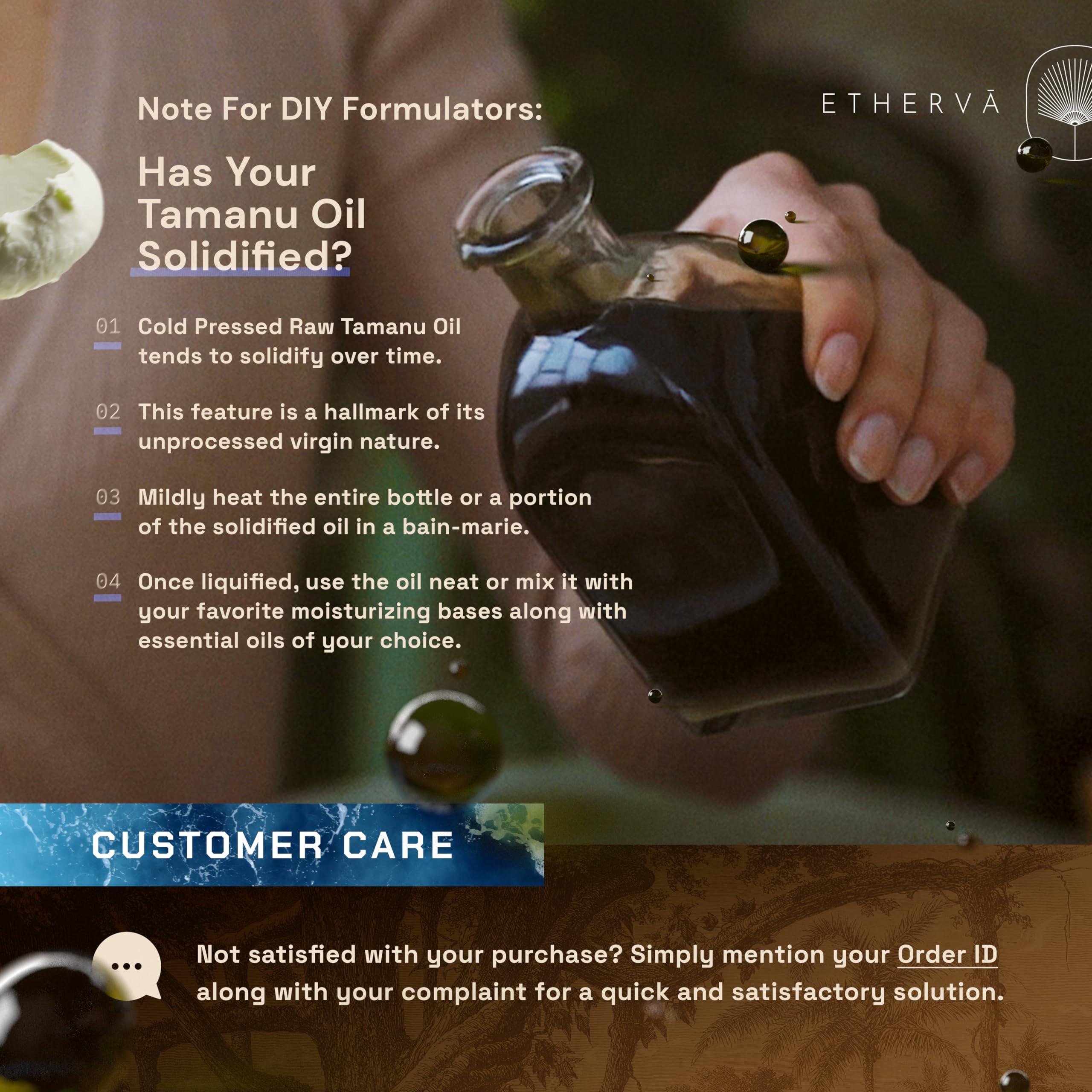 ETHERVA ETHERVA Cold Pressed Tamanu Oil | Bulk DIY Pack | Unrefined, Raw, Wild Grown Organic Tamanu Seeds | Vegan | Carrier Oil For Skin, Body, Scalp, Hair | For Whipped Creams | Glass Bottle 17.5 Fl Oz