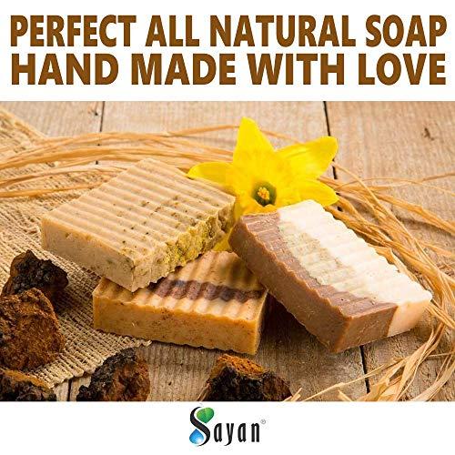 Sayan Sayan Siberian Chaga Mushroom Soap with Birch Tree Leaves and Buds - All Natural and Hand Made (3.5 oz)