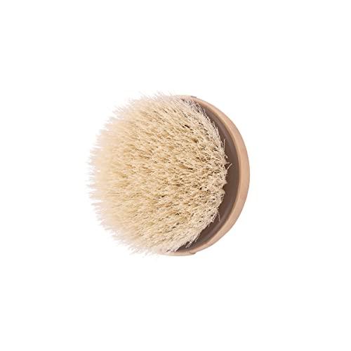 EcoTools EcoTools Dry Body Brush, for Post Shower & Bath Skincare Routine, Removes Dirt & Promotes Blood Circulation, Helps Reduce Appearance of Cellulite, Eco-Friendly, Vegan & Cruelty-Free, 1 Count