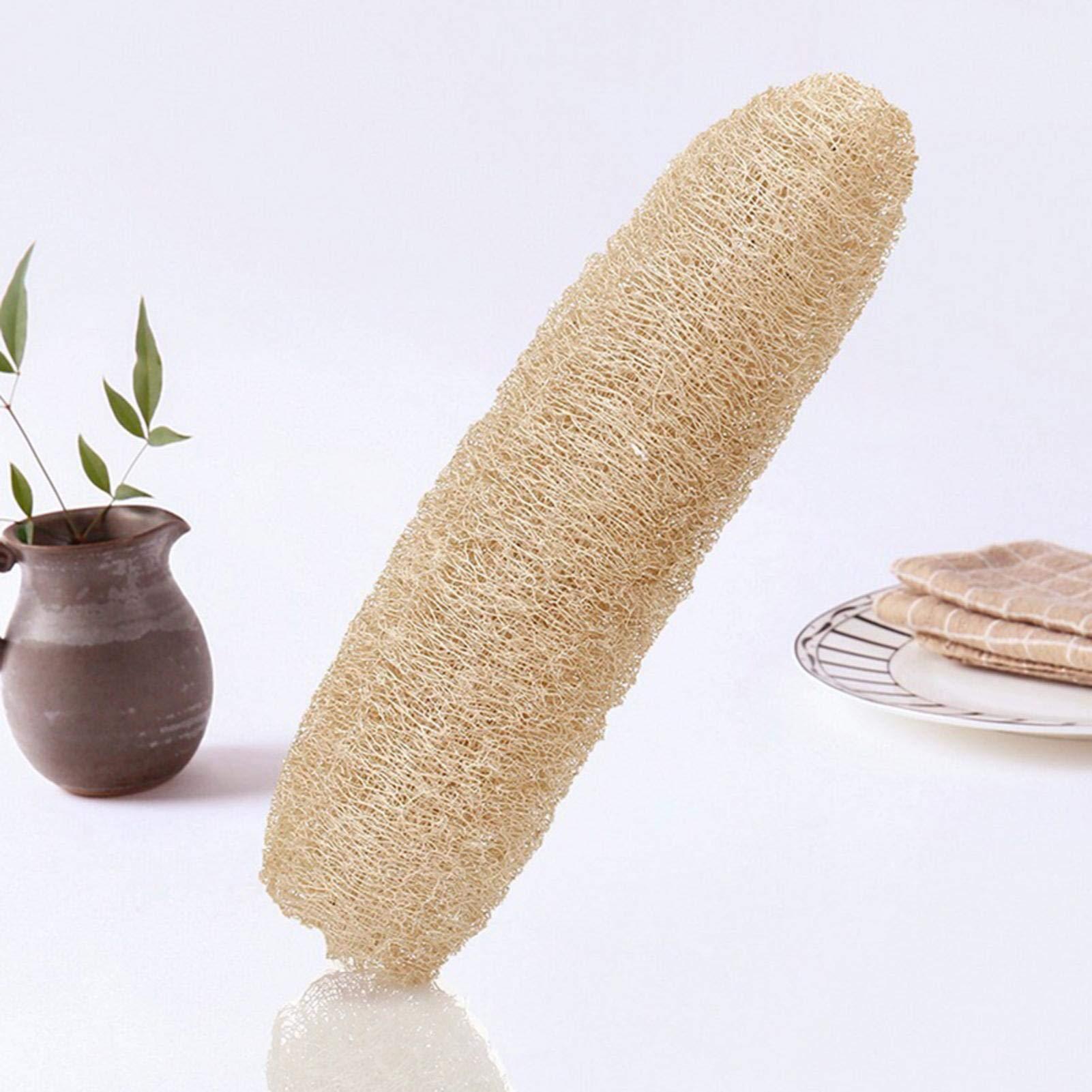 Bavokon Natural Loofah Sponges Luffa Bath Shower Sponge Exfoliatings Body Back Scrubber,Natural Egyptian Loofah Sponges,Exfoliatings Shower Loofah Body Scrubbers SPA Beauty Bath Radiant Skin