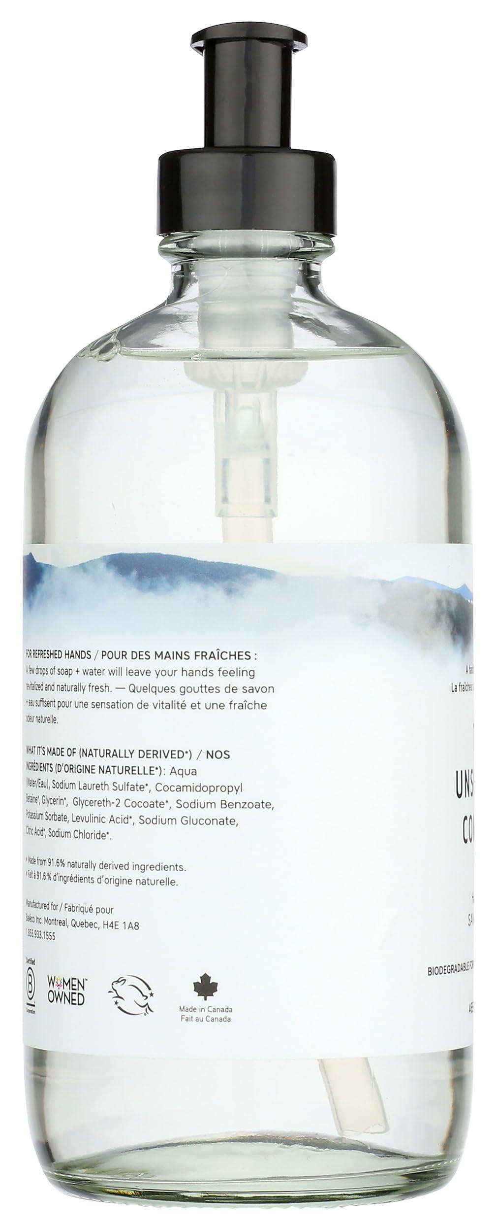 The Unscented Company The Unscented Company Unscented Liquid Hand Soap, 16.9 FZ