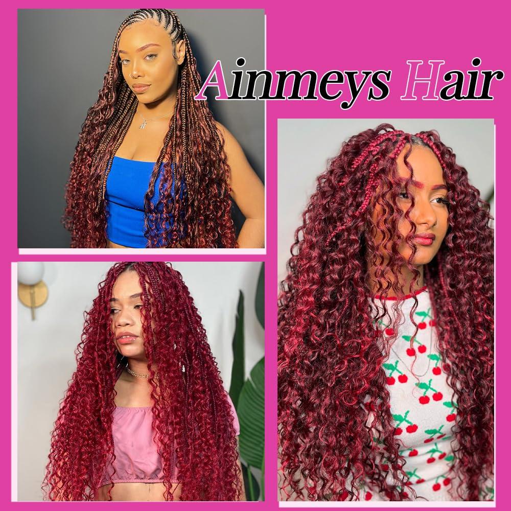 Ainmeys Water Wave Bulk Human Hair for Braiding #99j No Weft Curly Human Braiding Hair Wet and Wavy 100% Unprocessed Brazilian Virgin Human Hair for Boho Braids Wet and Wavy 2 Bundles/Pack (22inch 100g)