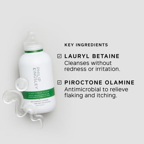 PHILIP KINGSLEY Philip Kingsley Flaky Scalp Shampoo, 8.45 Ounce