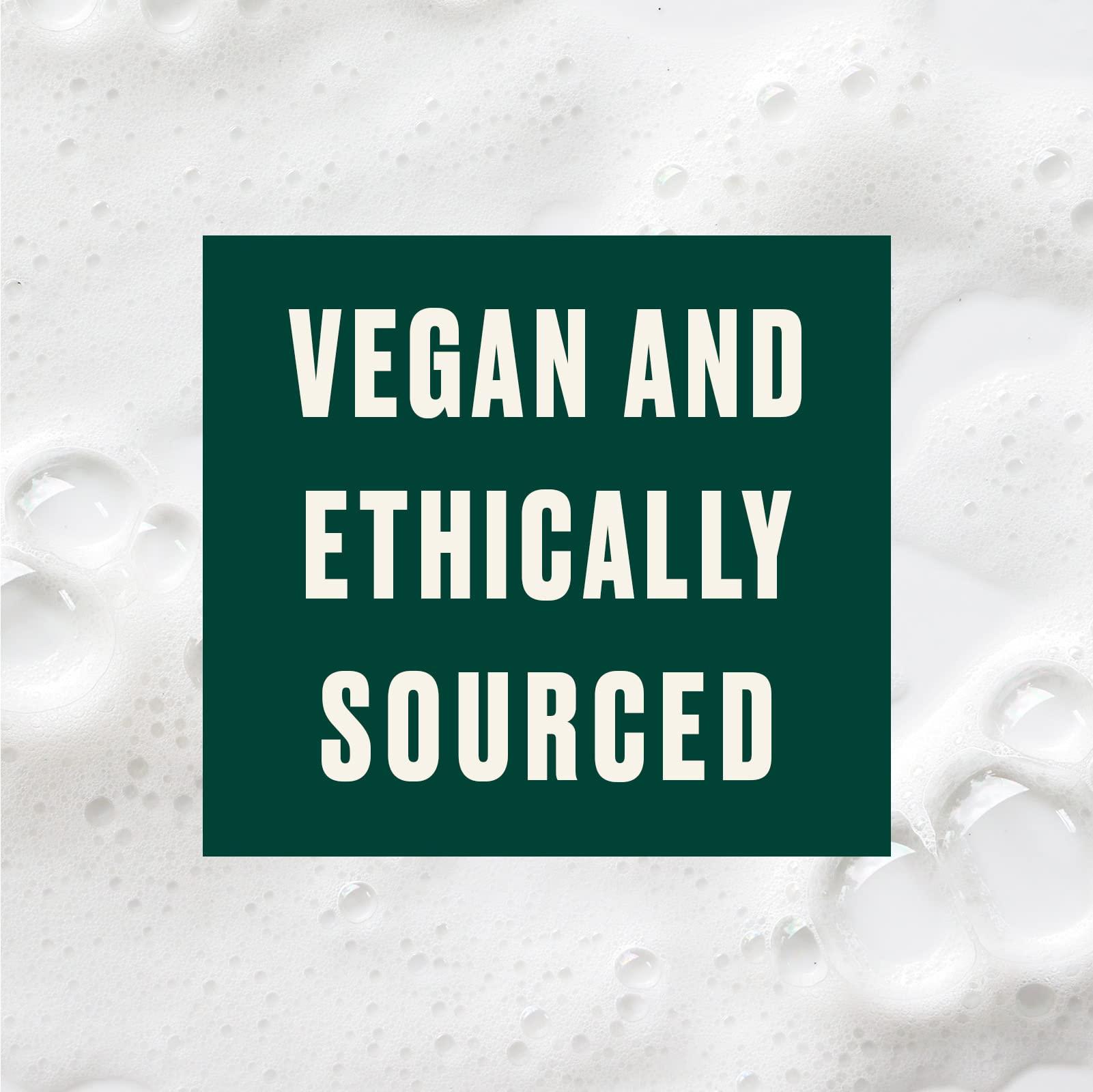 The Body Shop The Body Shop Shea Intense Repair Conditioner – For Dry to Very Dry Hair Prone to Breakage – Vegan – 8.4 oz