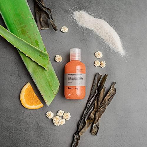 Anthony Anthony Facial Scrub – Men’s Exfoliating Face Wash with Vitamin C, Aloe, Chamomile and Algae for Deep Cleansing and Detoxifying 3.4 Fl Oz