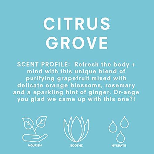 Hand In Hand Soap HAND IN HAND Grapefruit & Orange Blossom Citrus Grove Body Lotion, 8 OZ