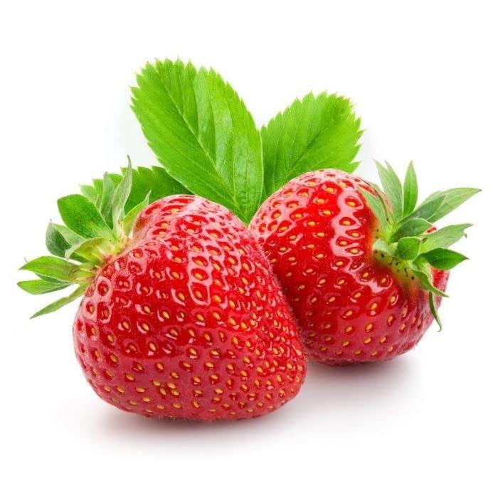 Dr Joe Lab Dr Joe Lab Strawberry Seed Oil - Pure Unrefined Cold Pressed Bulk Natural Hydrating Nourishing Moisturizing for Skin Hair Lip Face Body Nails DIY Carrier Oil - Packaging May Vary (16 oz)