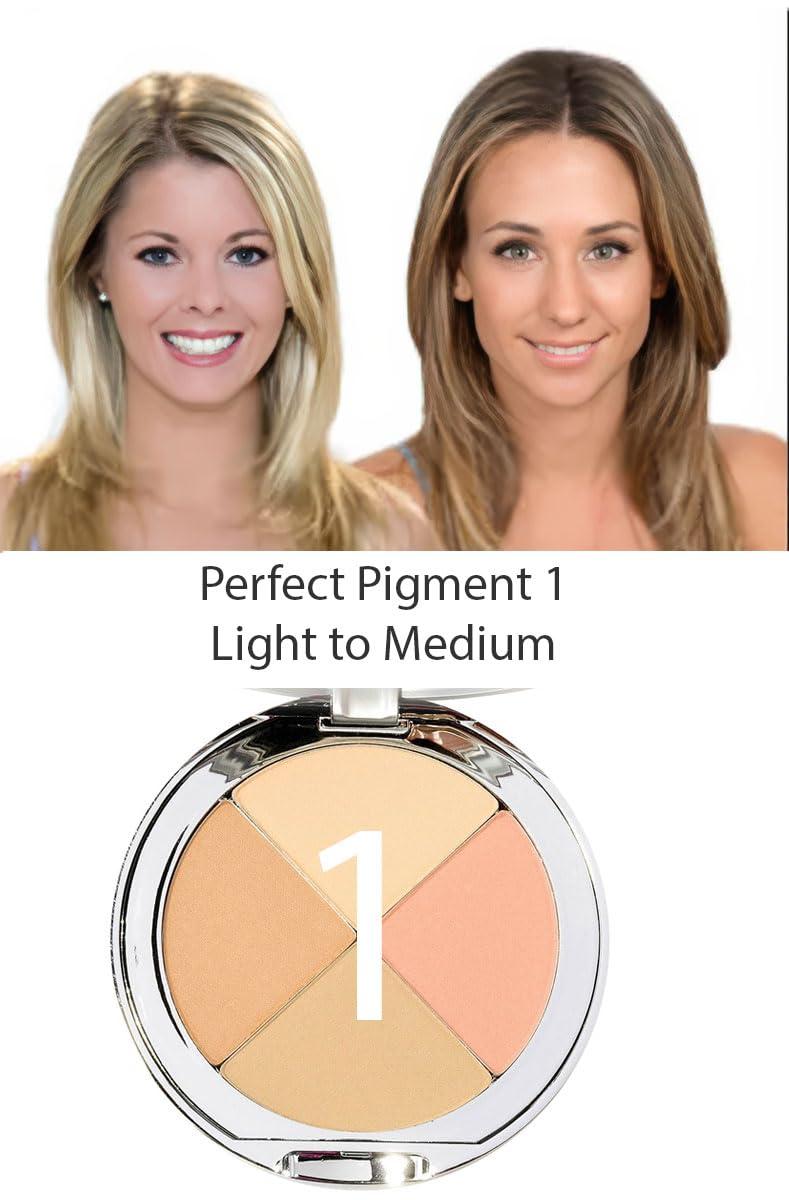 Christina Cosmetics Christina Cosmetics Perfect Pigment 1 Mineral Compact: The One Minute Miracle Makeup!
