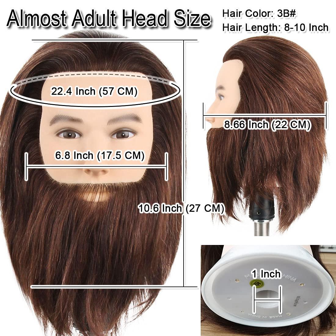 Newshair NEWSHAIR Male Mannequin Head with Beard 100% Human Hair Haircut Training Head with Thick Hair Hairdresser Manikin Head Doll Head for Styling and Practice Handsome Face Adult Head Size (8-10Inch 3B#)