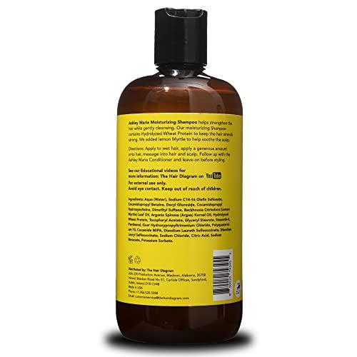 The Hair Diagram The Hair Diagram - Ashley Marie Moisturizing Shampoo - Natural Cleansing & Strengthening - Restorative Lemon Myrtle Shampoo with Hydrolyzed Wheat Protein - Color Safe - Paraben & Sulfate Free - 12oz