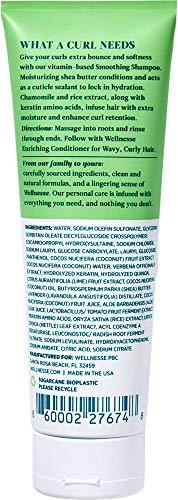 Wellnesse Wellnesse: Smoothing Shampoo - For Wavy, Curly Hair - 8 oz - Coconut and Verbena Leaf - Moisturizing, Curl Active Formula - Cruelty-Free, Non-GMO, No Parabens, Sulfates, Silicone