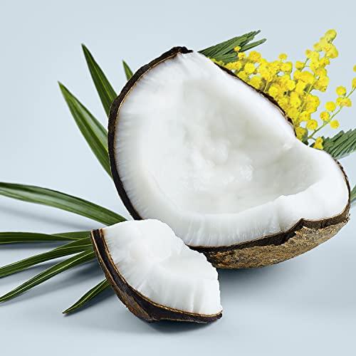 Love Beauty And Planet Love Beauty And Planet Silicone-Free Conditioner Thickening Conditioner for Fine Hair Coconut Water and Mimosa Flower in Reusable and Refillable Aluminum Bottle 16.5 fl oz