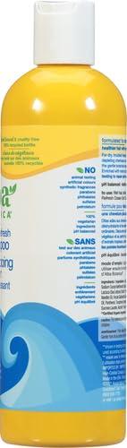 Alba Botanica Alba Botanica Repair & Refresh Shampoo, Ocean Surf, 12 Oz