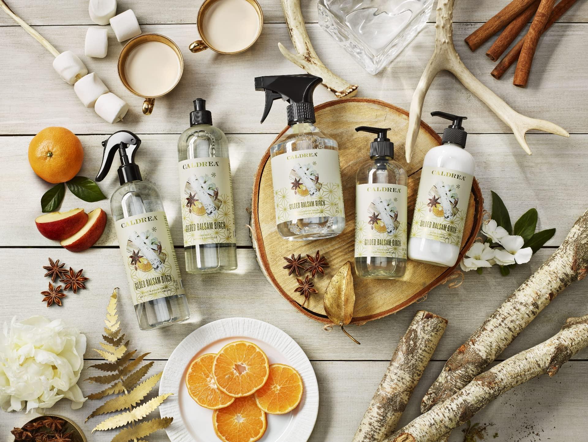 Caldrea Caldrea Hand Lotion, For Dry Hands, Made with Shea Butter, Aloe Vera, and Glycerin and Other Thoughtfully Chosen Ingredients, Gilded Balsam Birch Scent, 10.8 oz